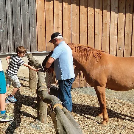 Landgasthof Dittersdorfer Hoehe 3*