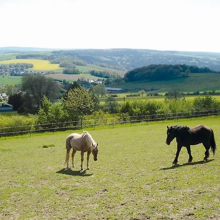 Hotel Landgasthof Dittersdorfer Hoehe