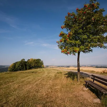 Hotel Landgasthof Dittersdorfer Hoehe 3*