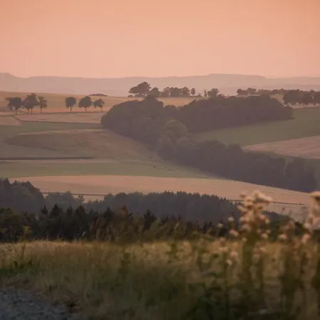 Landgasthof Dittersdorfer Hoehe Hotel 3*