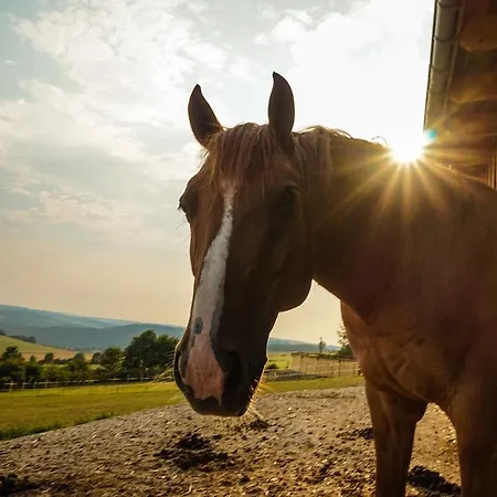 Hotel Landgasthof Dittersdorfer Hoehe
